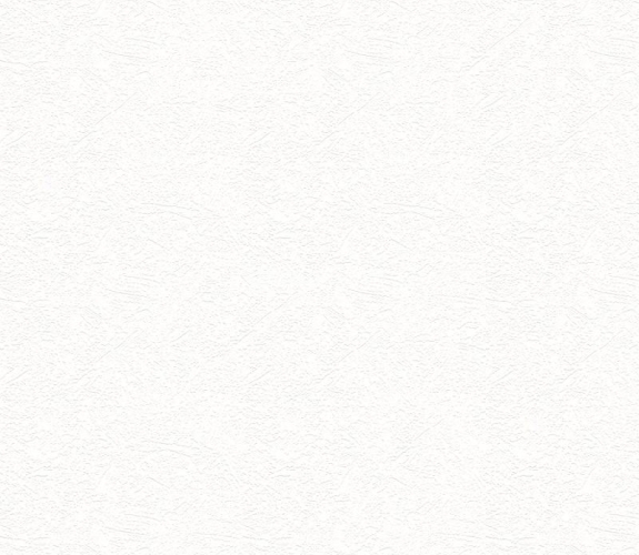 3006 white