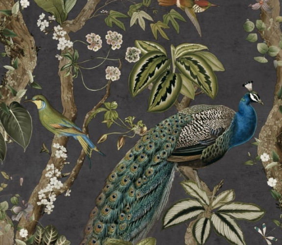 Cassia Charcoal