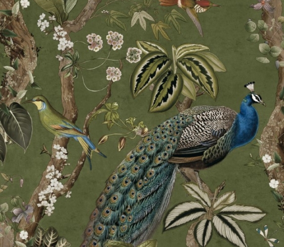 Cassia Green