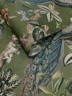 Cassia Green