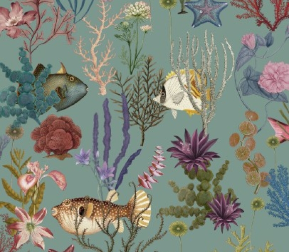 Cora Soft Aqua