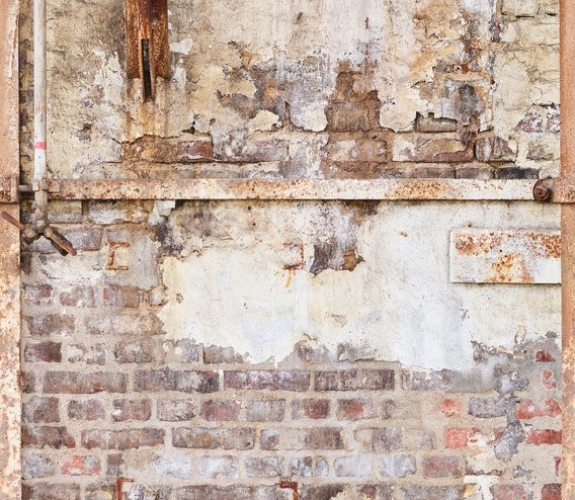 The wall 392531