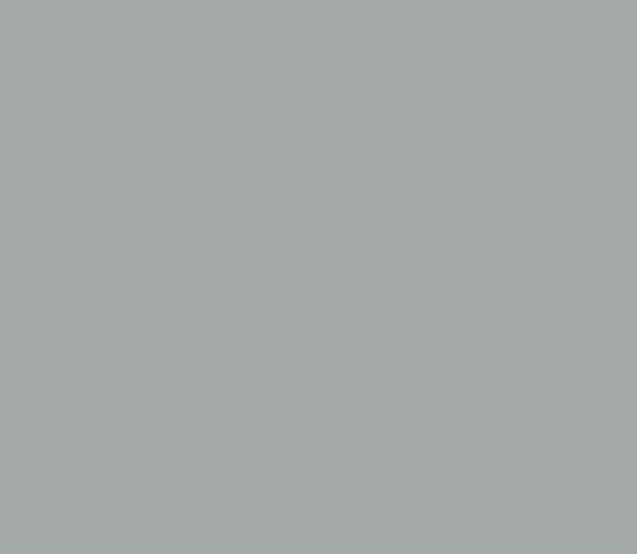 Lenco deco Silver grey mat 45cmx2m