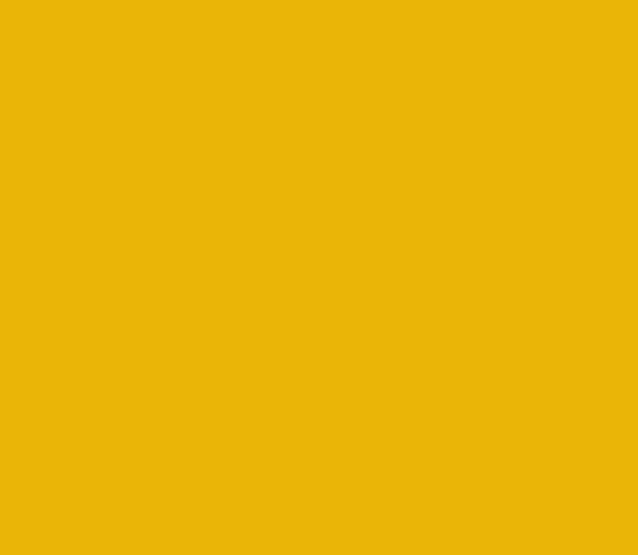 Lenco deco Kurkuma yellow mat 45cmx2m