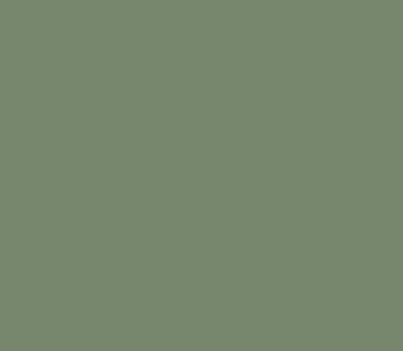 Lenco deco Jade green mat 45cmx2m