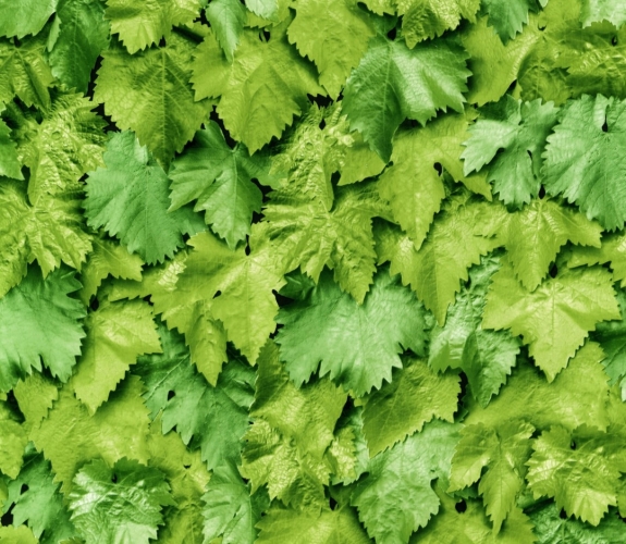 Lenco deco Leaves 45cmx2m