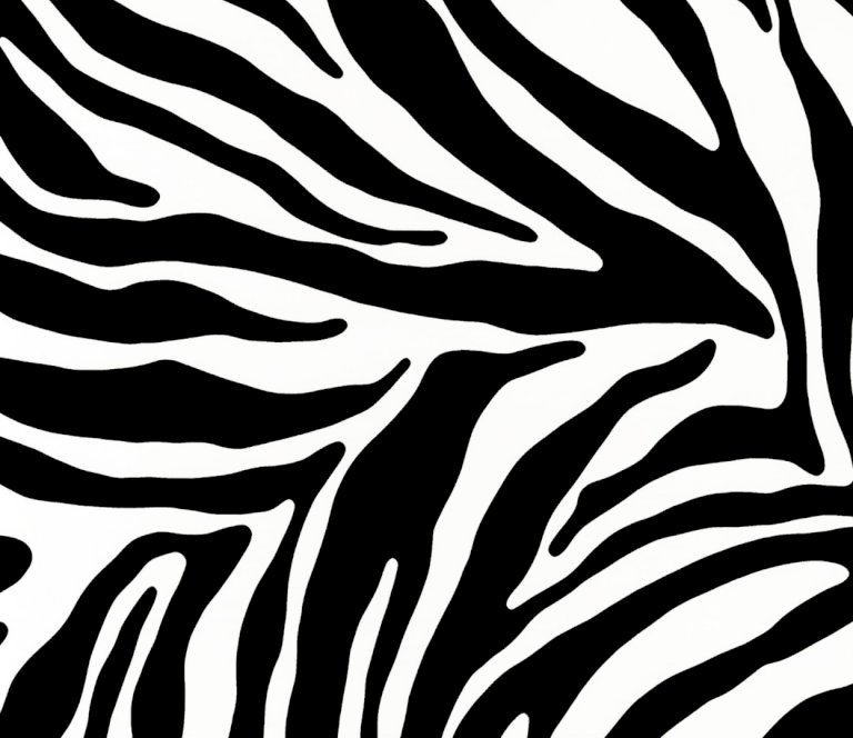 Lenco deco Zebra 45cmx2m