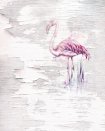 Pink Flamingo - fototapet - 2,50x2 m - fra Komar