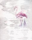 Pink Flamingo - fototapet - 2,50x2 m - fra Komar