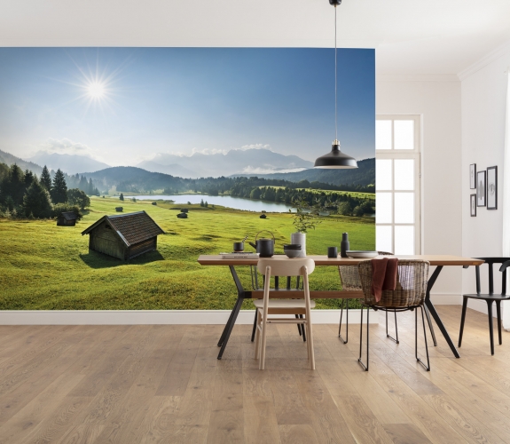 Bergwiese vor Karwendel