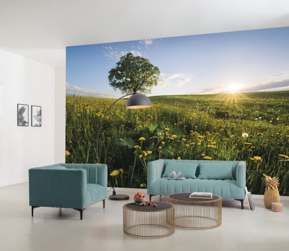 Frühling auf dem Land