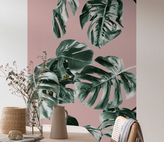 Monstera Rosé - fototapet - 2,50x1 m - f...