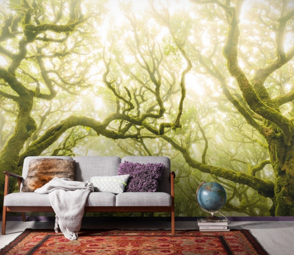 Green Fire - fototapet - 2,5x4 m - fra K...